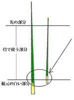 イ草について